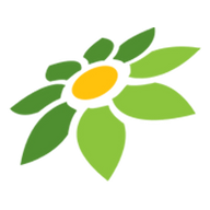 LOGO INSTAGRAM PNG